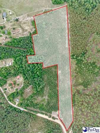 17.1 Acres of Recreational & Residential Land for Sale in Patrick, South Carolina