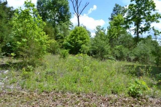 31.2 Acres of Recreational & Residential Land for Sale in Burkesville, Kentucky