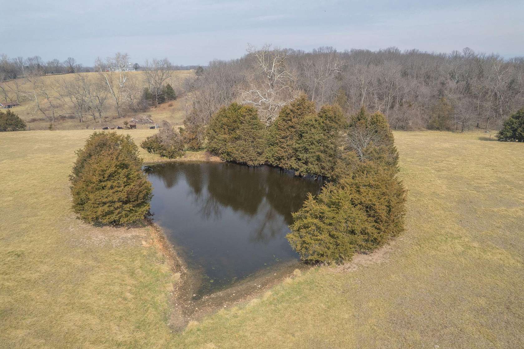21.7 Acres of Recreational Land for Sale in Cassville, Missouri
