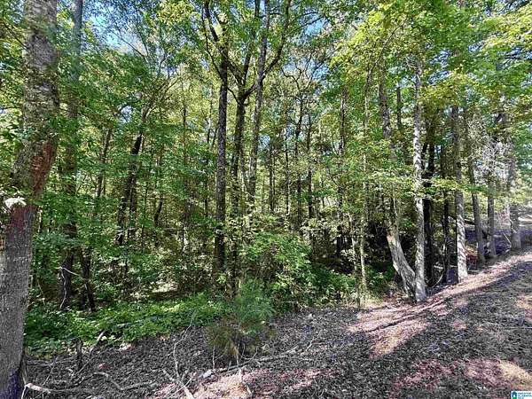 17 Acres of Recreational & Residential Land for Sale in Sylacauga, Alabama