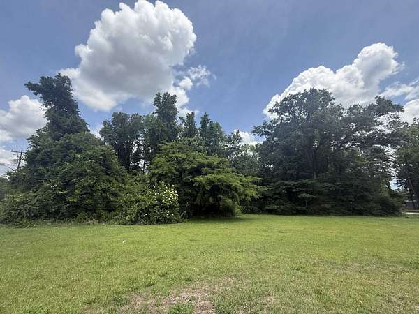 0.75 Acres of Residential Land for Sale in Andrews, South Carolina
