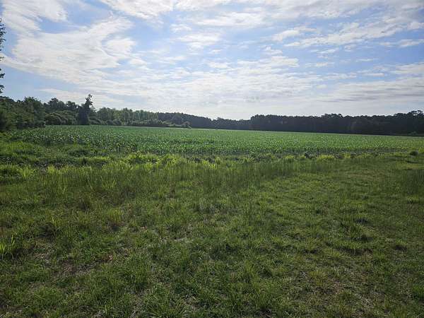 54.7 Acres of Recreational & Residential Land for Sale in Nichols, South Carolina