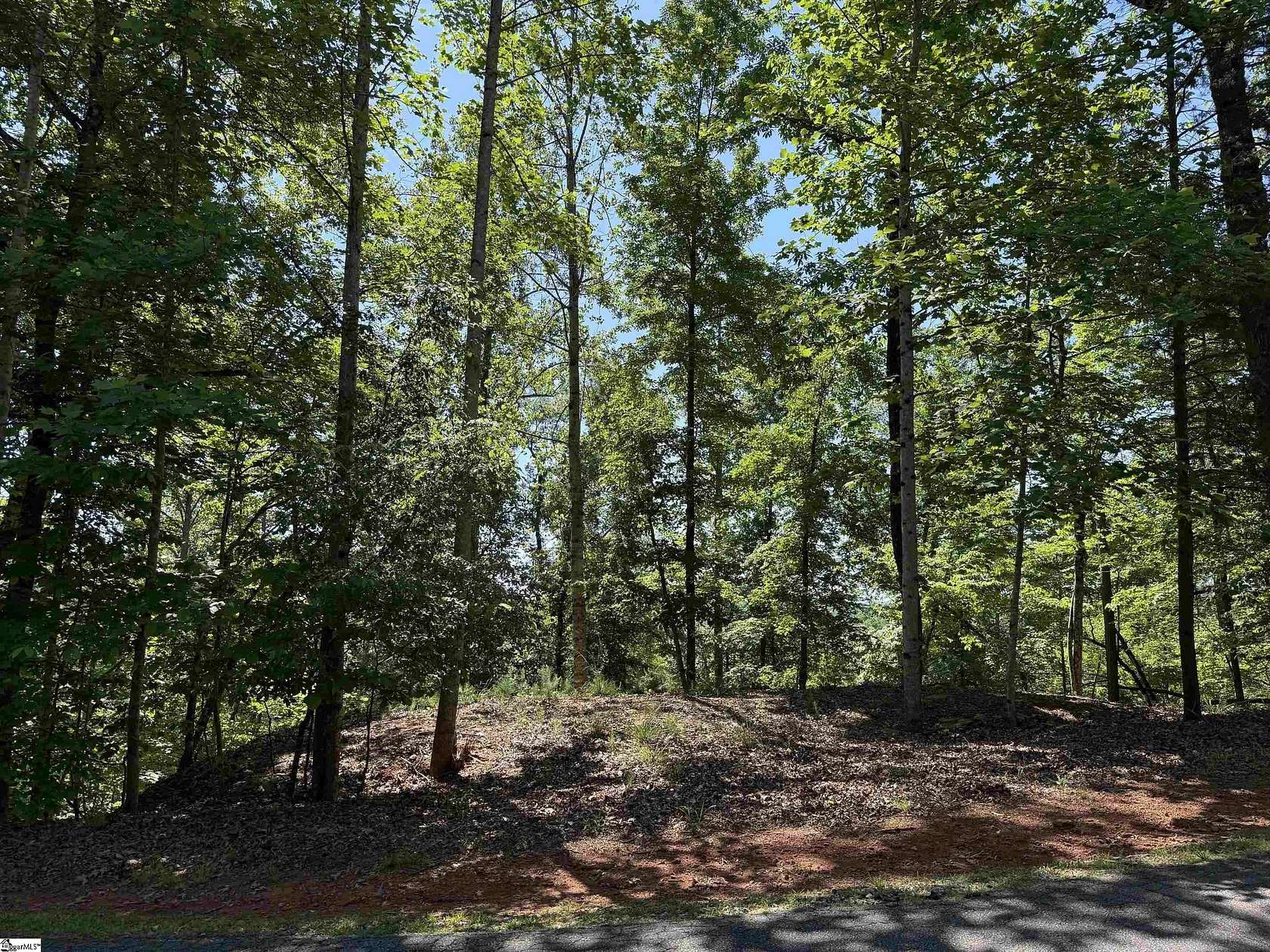 1.2 Acres of Residential Land for Sale in Sunset, South Carolina