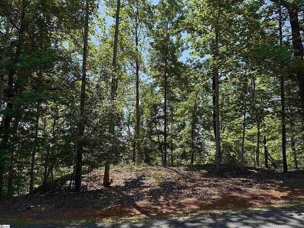 1.2 Acres of Residential Land for Sale in Sunset, South Carolina