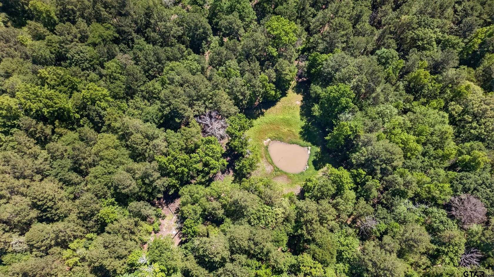 50 Acres of Recreational & Residential Land for Sale in Palestine, Texas