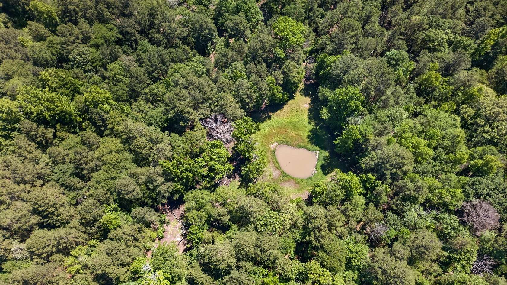 50 Acres of Land for Sale in Palestine, Texas
