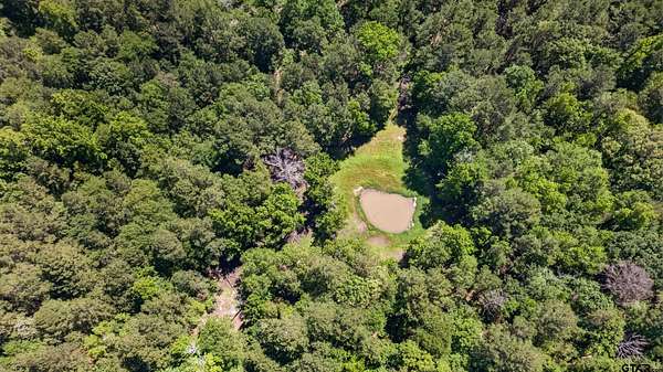 50 Acres of Recreational & Residential Land for Sale in Palestine, Texas