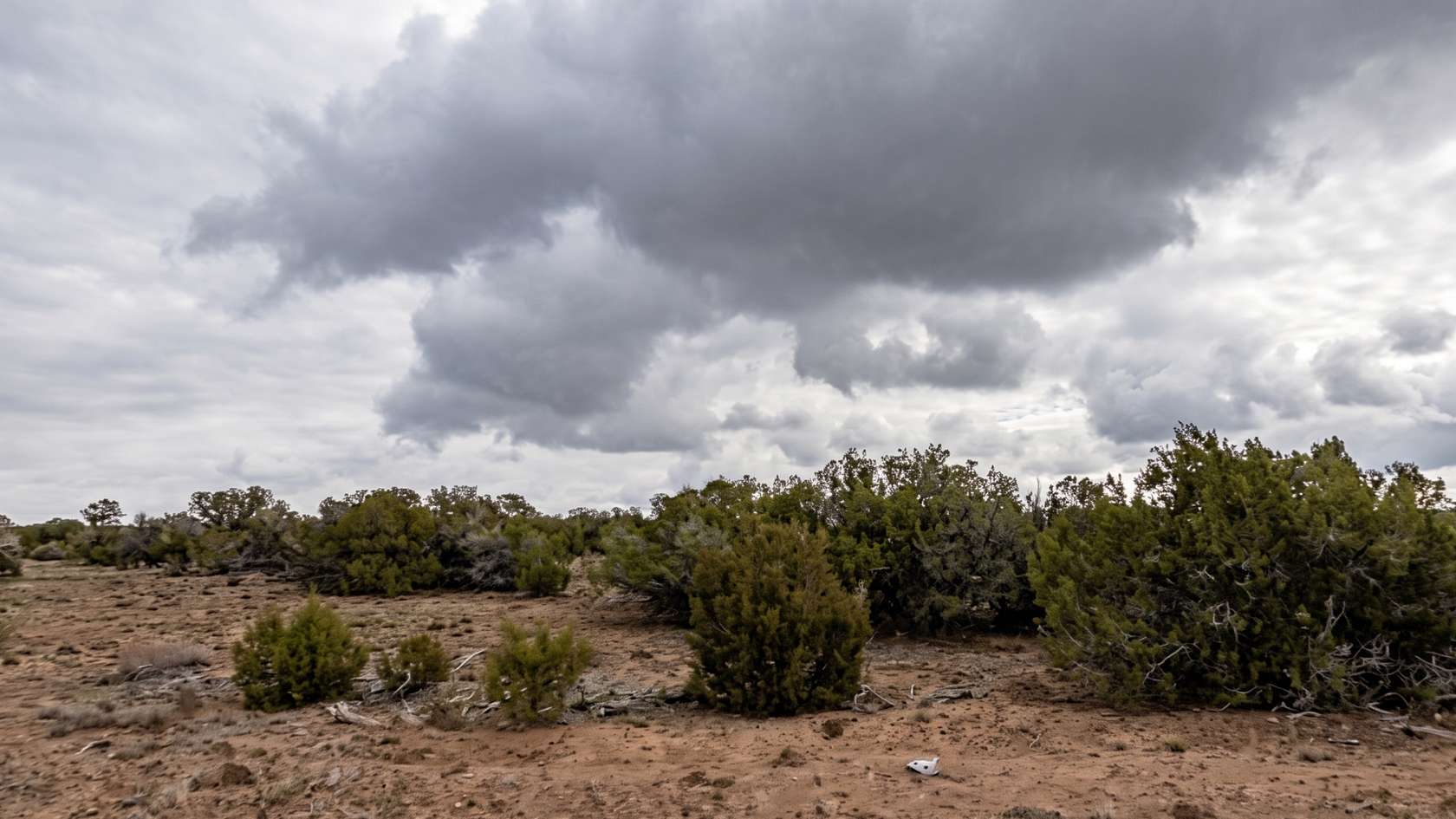 1.13 Acres of Residential Land for Sale in Concho, Arizona