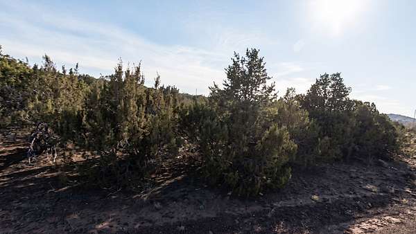 1.19 Acres of Residential Land for Sale in Concho, Arizona