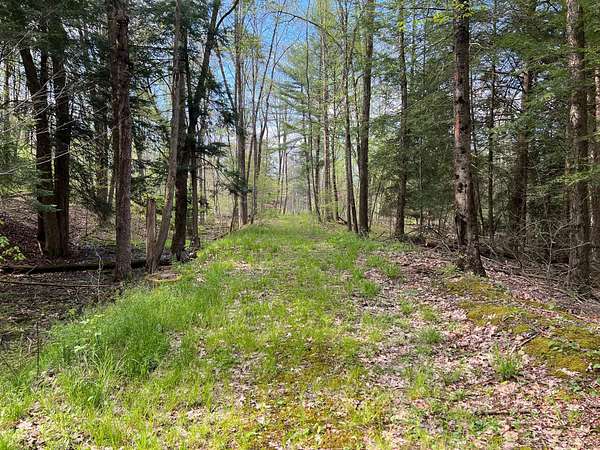 102 Acres of Recreational Land for Sale in Titusville, Pennsylvania