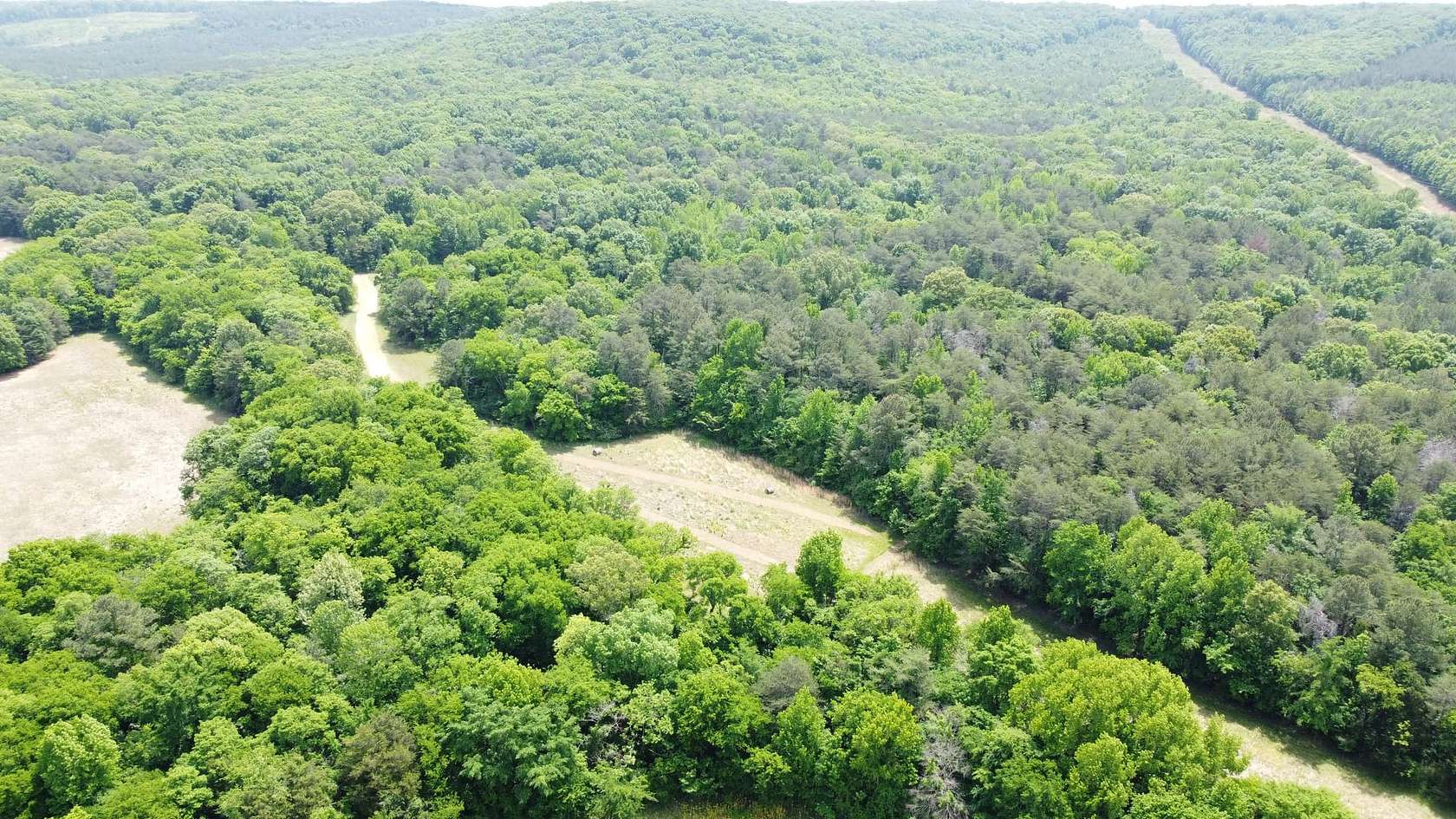40 Acres of Land for Sale in Leighton, Alabama