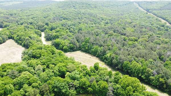 40 Acres of Land for Sale in Leighton, Alabama