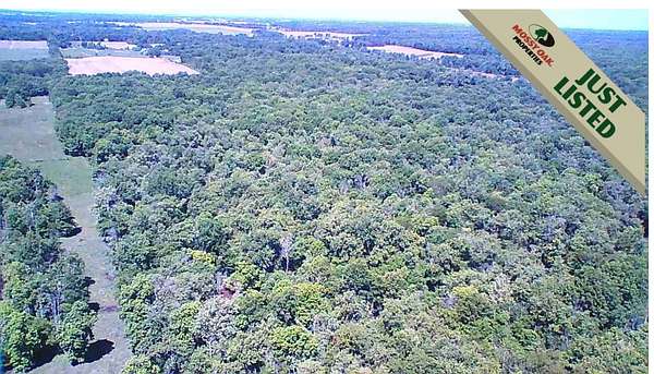 77.5 Acres of Recreational Land for Sale in Flora, Illinois