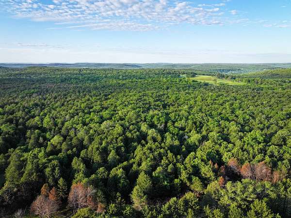 20.5 Acres of Recreational Land for Sale in Muldrow, Oklahoma