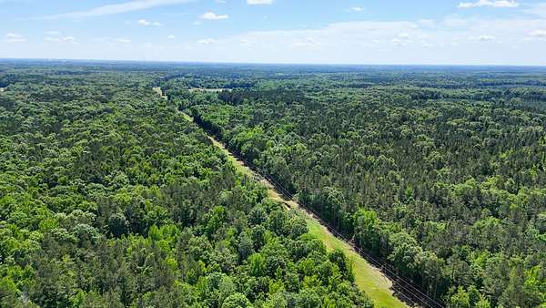 286 Acres of Recreational Land for Auction in White Hall, Arkansas