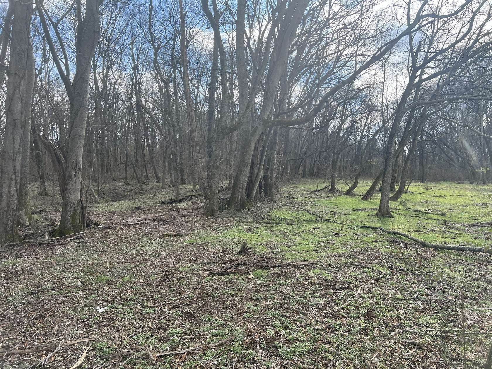 2 Acres of Residential Land for Sale in Mount Pleasant, Tennessee