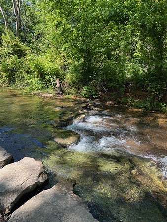 9.7 Acres of Residential Land for Sale in Bella Vista, Arkansas