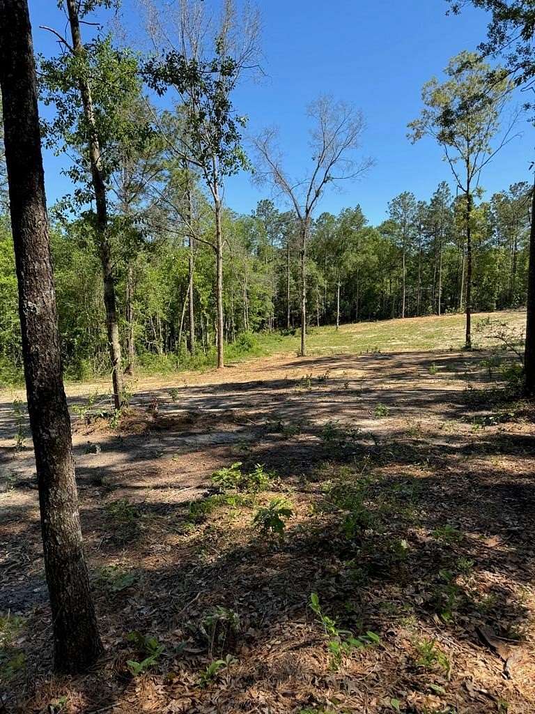 5 Acres of Residential Land for Sale in Carriere, Mississippi