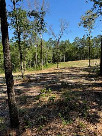 5 Acres of Residential Land for Sale in Carriere, Mississippi