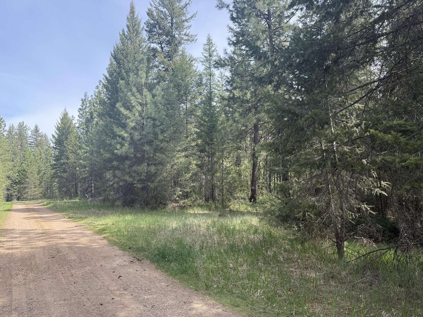 5.45 Acres of Land for Sale in Laurier, Washington