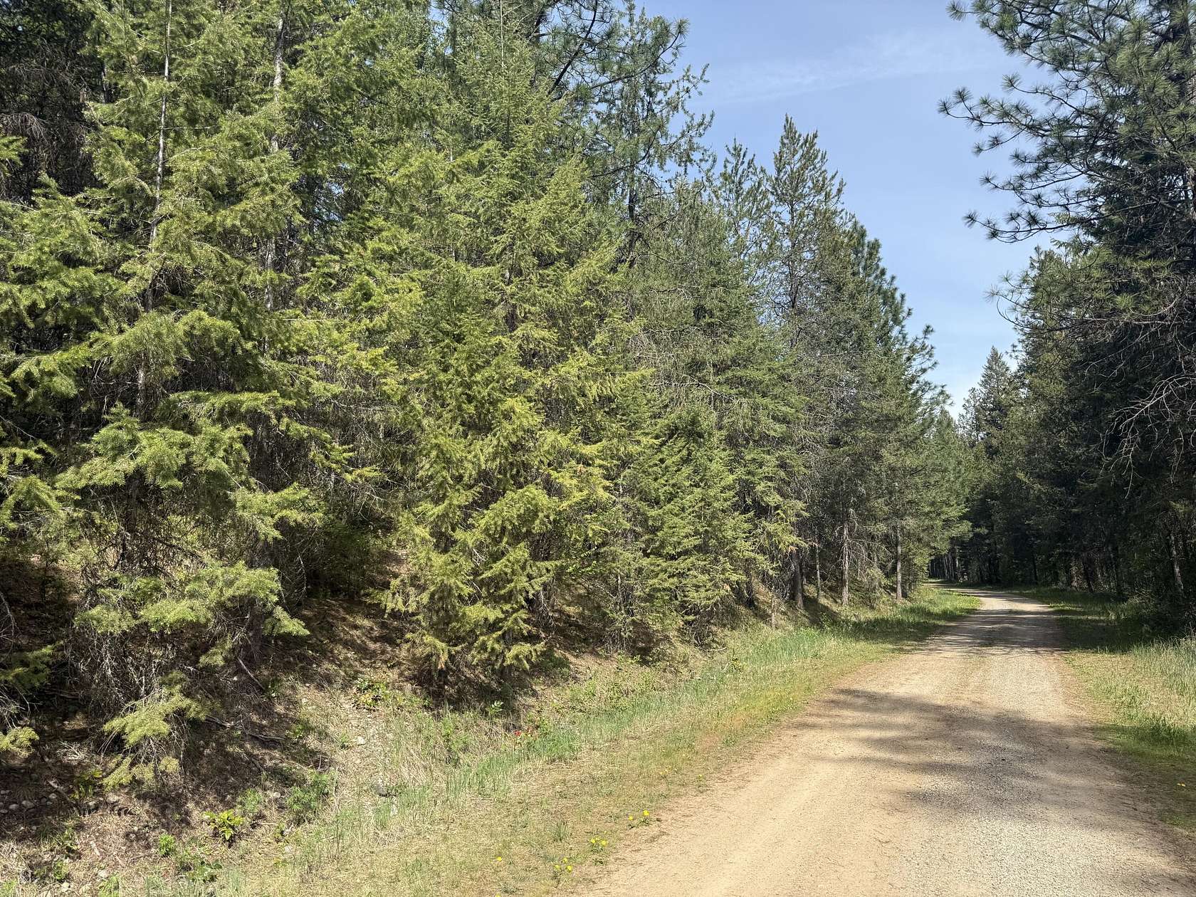 5.45 Acres of Land for Sale in Laurier, Washington