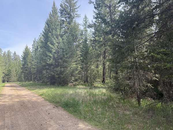 5.45 Acres of Land for Sale in Laurier, Washington