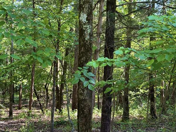 0.63 Acres of Land for Sale in Rockaway Beach, Missouri