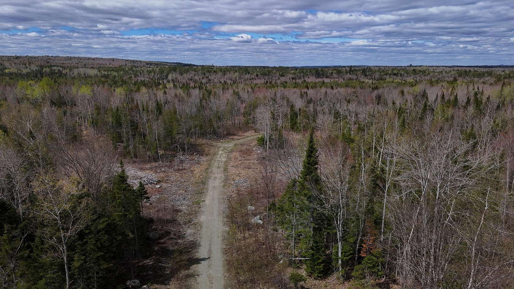 40.4 Acres of Recreational & Residential Land for Sale in Medford, Maine