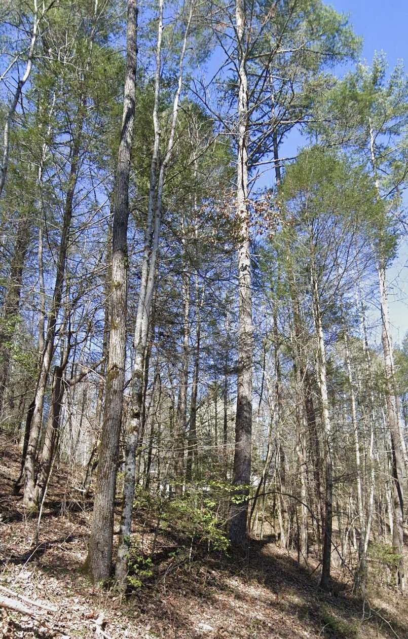 0.67 Acres of Residential Land for Sale in Sevierville, Tennessee