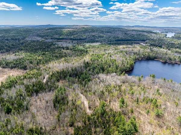 55 Acres of Recreational & Residential Land for Sale in Calais, Maine