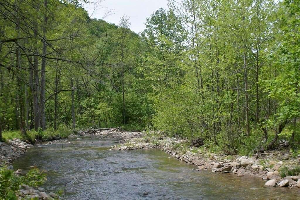 50.6 Acres of Land for Sale in Cullowhee, North Carolina