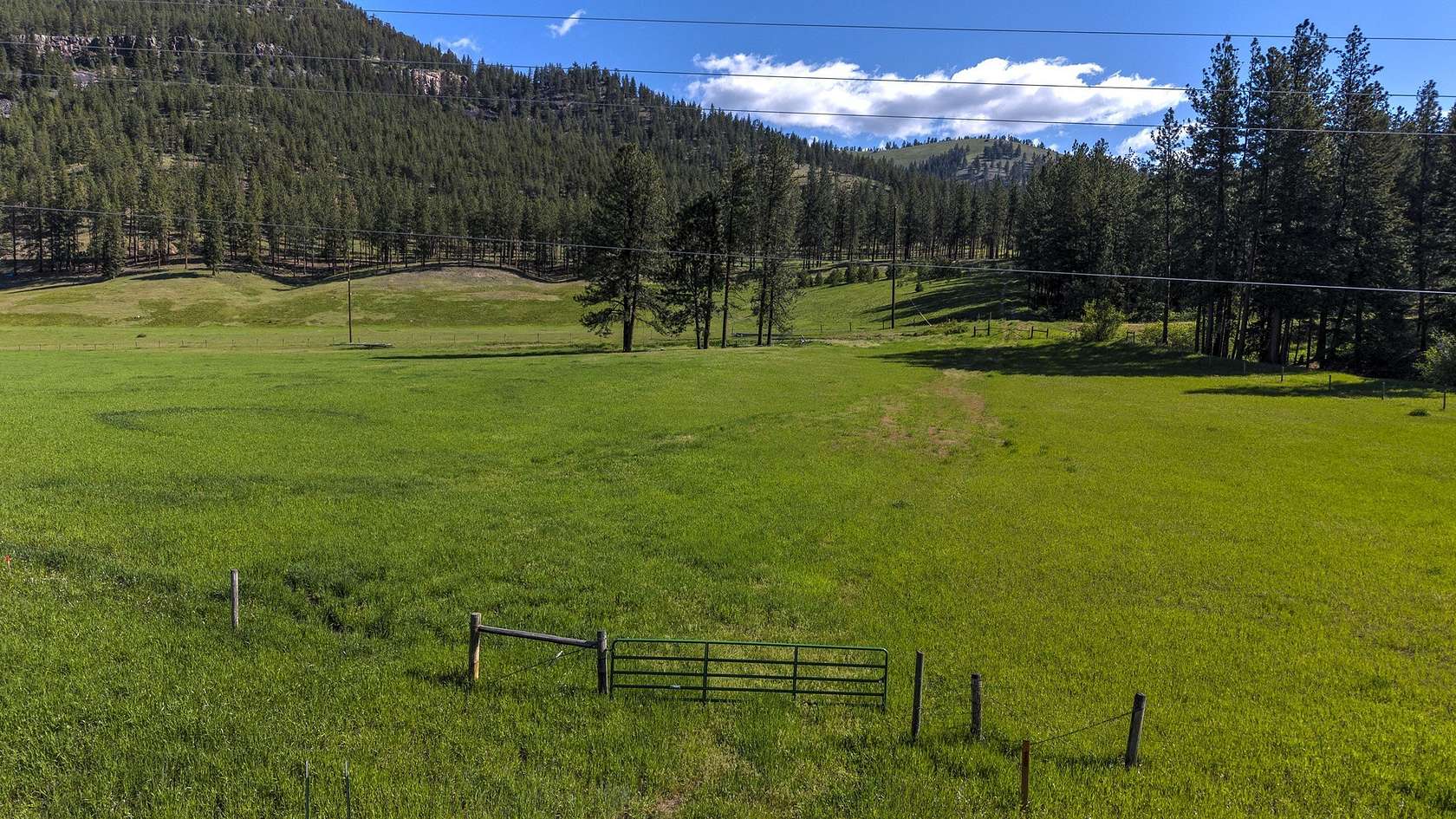 40.4 Acres of Recreational & Residential Land for Sale in Alberton, Montana