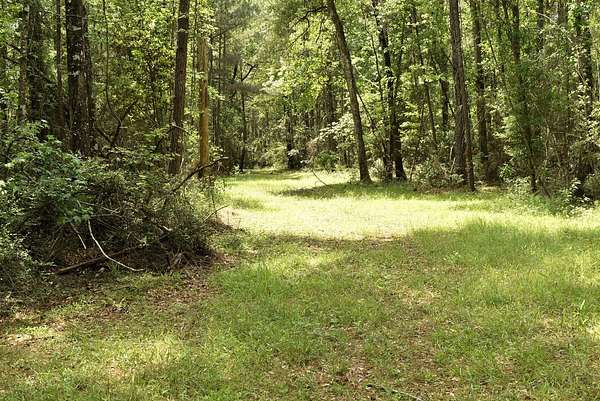 53.2 Acres of Recreational & Residential Land for Sale in Clinton, Louisiana