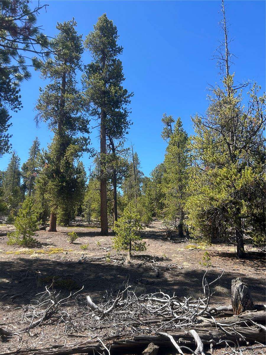 0.31 Acres of Residential Land for Sale in Leadville, Colorado