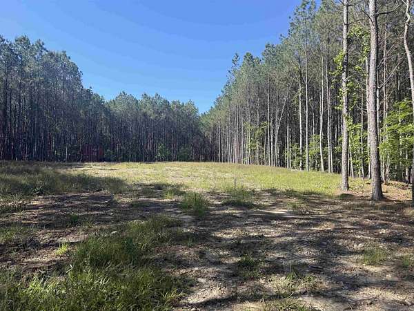 10 Acres of Recreational & Residential Land for Sale in Hot Springs, Arkansas