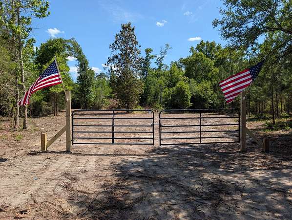 13 Acres of Land for Sale in Cottondale, Florida