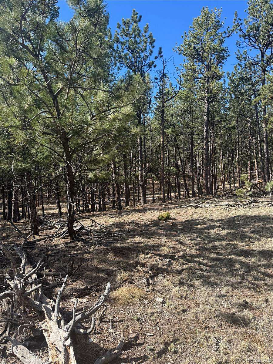 2 Acres of Residential Land for Sale in Florissant, Colorado