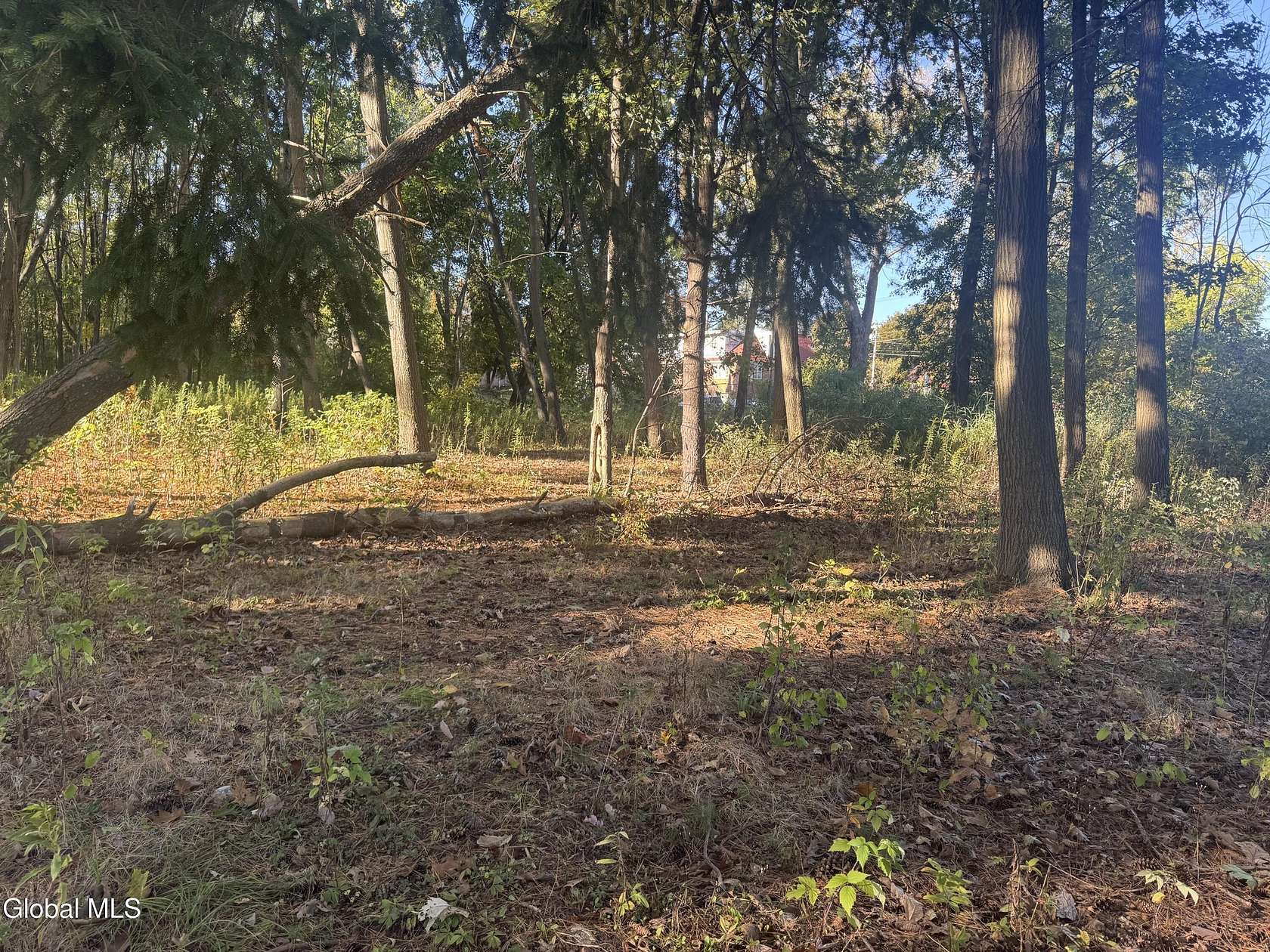 1.8 Acres of Land for Sale in Schenectady, New York