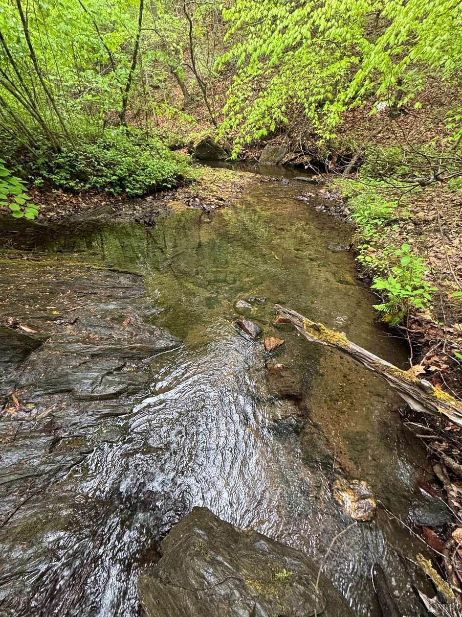 149 Acres of Recreational Land for Sale in Appomattox, Virginia