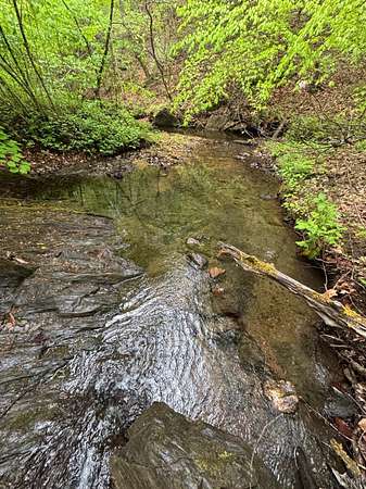 149 Acres of Recreational Land for Sale in Appomattox, Virginia