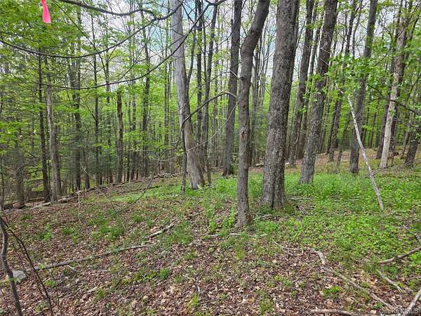 5 Acres of Residential Land for Sale in Fallsburg, New York