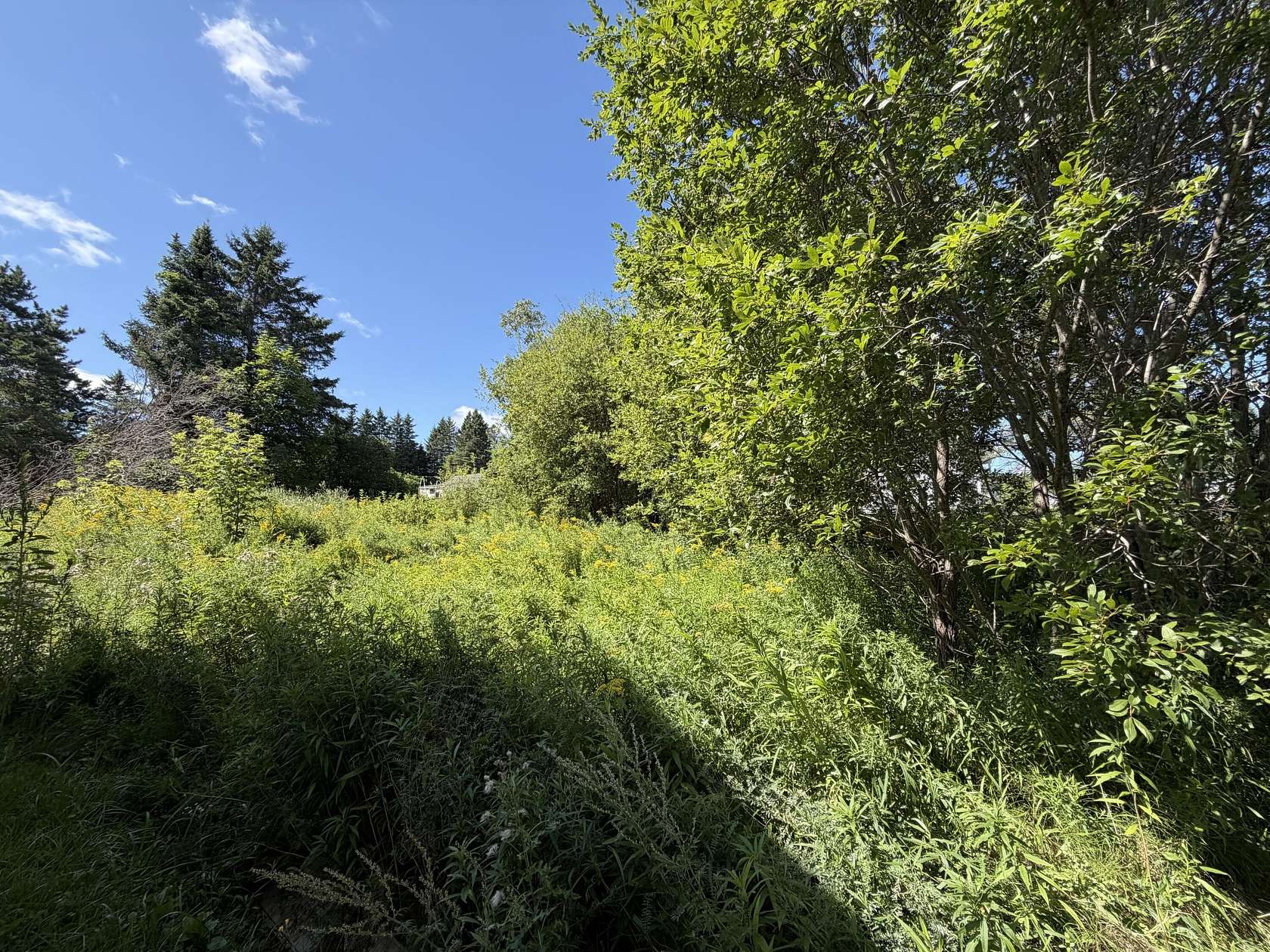 0.14 Acres of Residential Land for Sale in Caribou, Maine