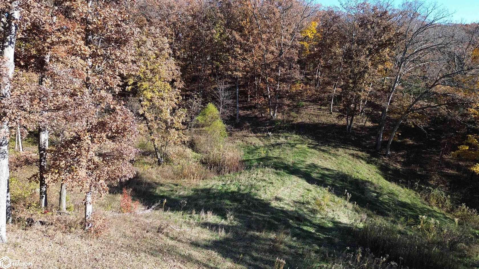 35 Acres of Land for Sale in Drakesville, Iowa