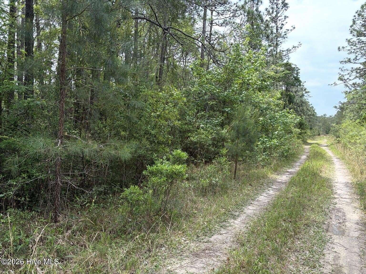 0.23 Acres of Land for Sale in Southport, North Carolina