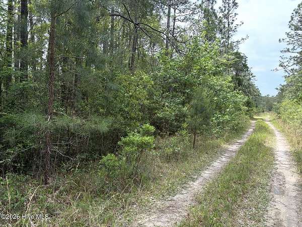 0.23 Acres of Land for Sale in Southport, North Carolina