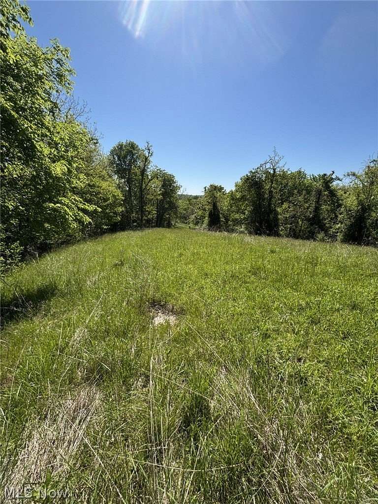 107 Acres of Recreational Land for Sale in Stockport, Ohio