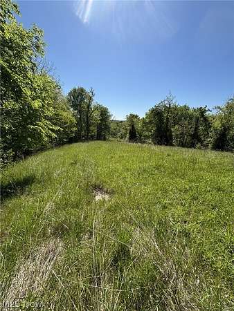 107 Acres of Recreational Land for Sale in Stockport, Ohio