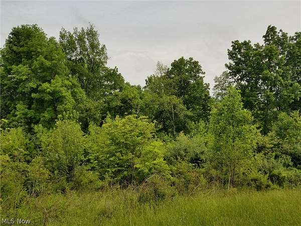 107 Acres of Recreational Land for Sale in Stockport, Ohio