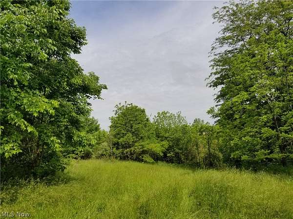 107 Acres of Recreational Land for Sale in Stockport, Ohio