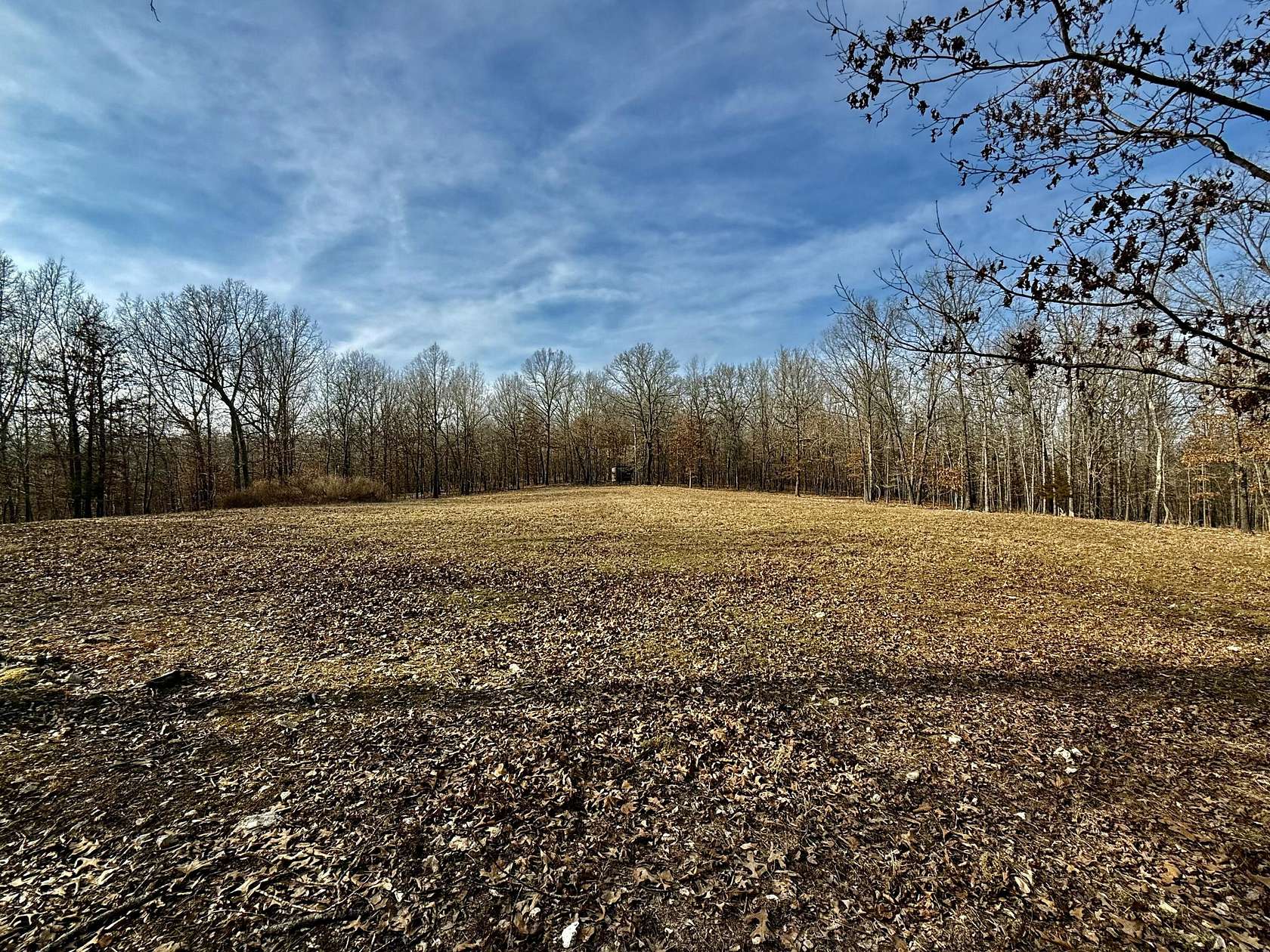 48.8 Acres of Recreational Land for Sale in Thayer, Missouri